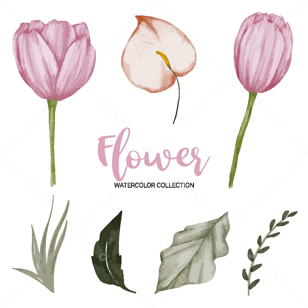 Conjunto de Flores em Aquarela Ilustração Vetor EPS