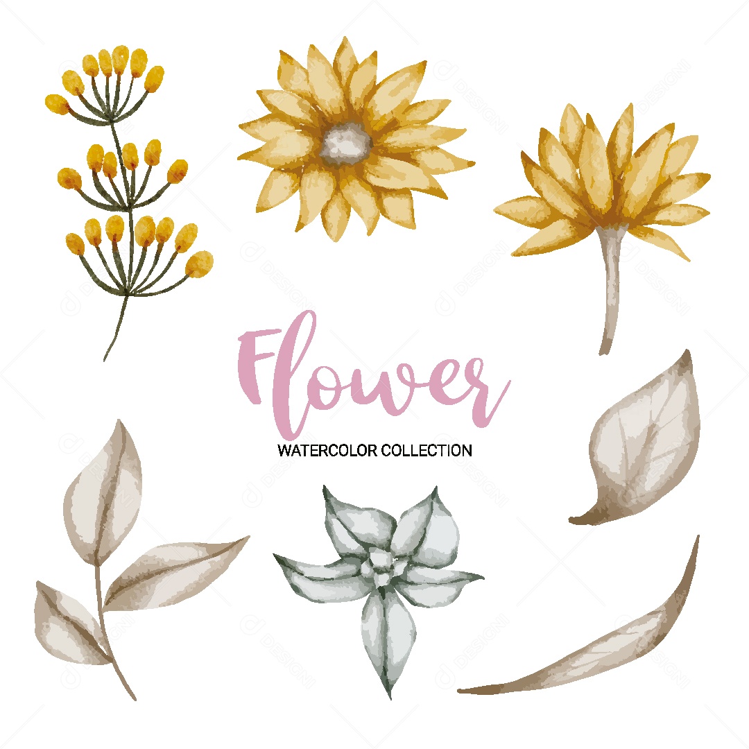 Conjunto de Flores em Aquarela Ilustração Vetor EPS