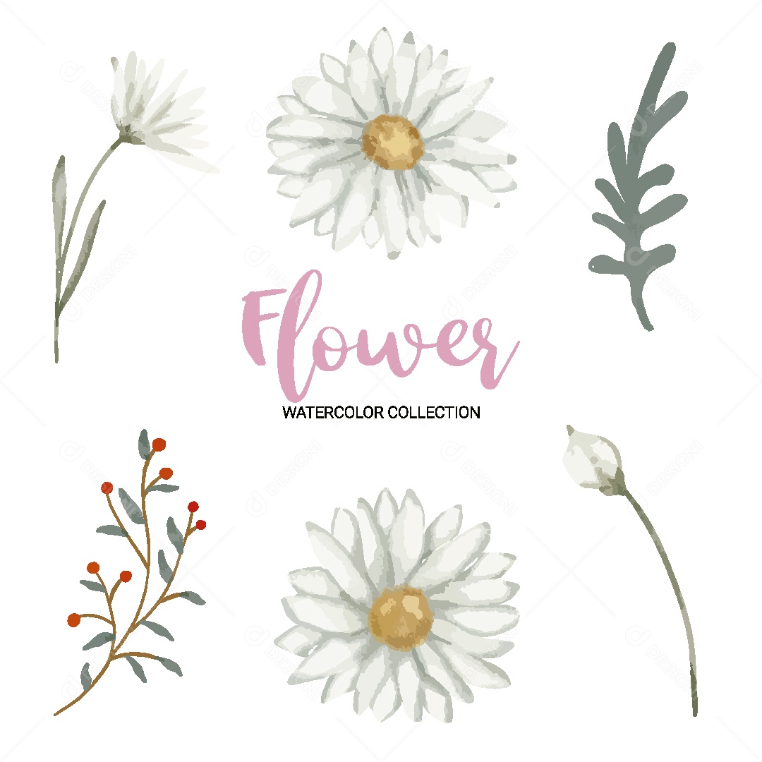 Conjunto de Flores em Aquarela Ilustração Vetor EPS