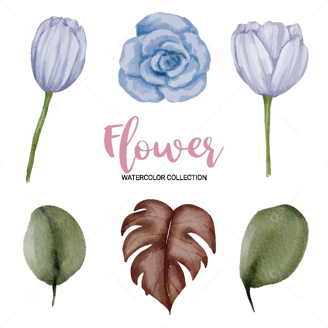 Conjunto de Flores em Aquarela Ilustração Vetor EPS