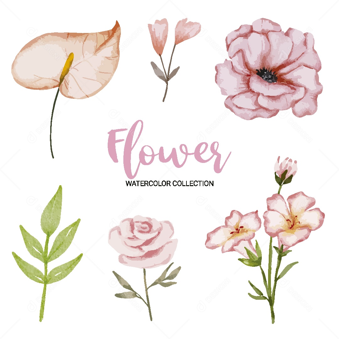 Conjunto de Flores em Aquarela Ilustração Vetor EPS