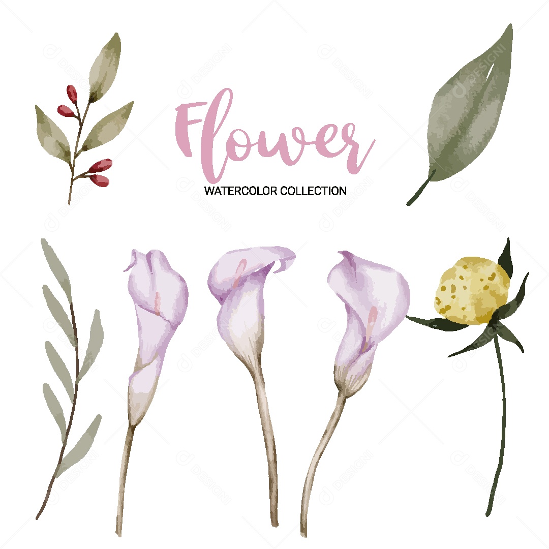 Conjunto de Flores em Aquarela Ilustração Vetor EPS