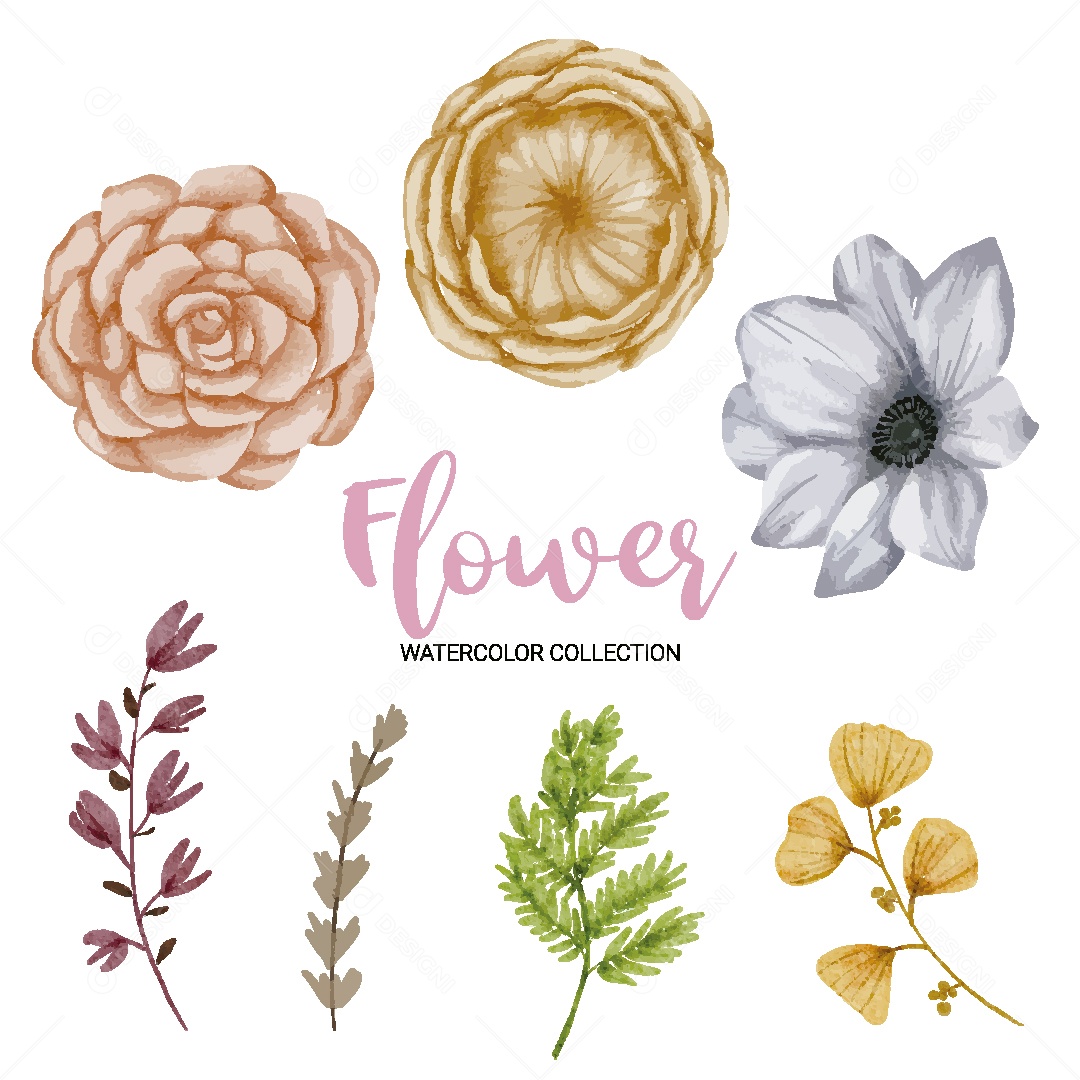Conjunto de Flores em Aquarela Ilustração Vetor EPS