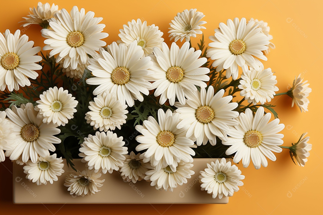 Belos cenários da natureza