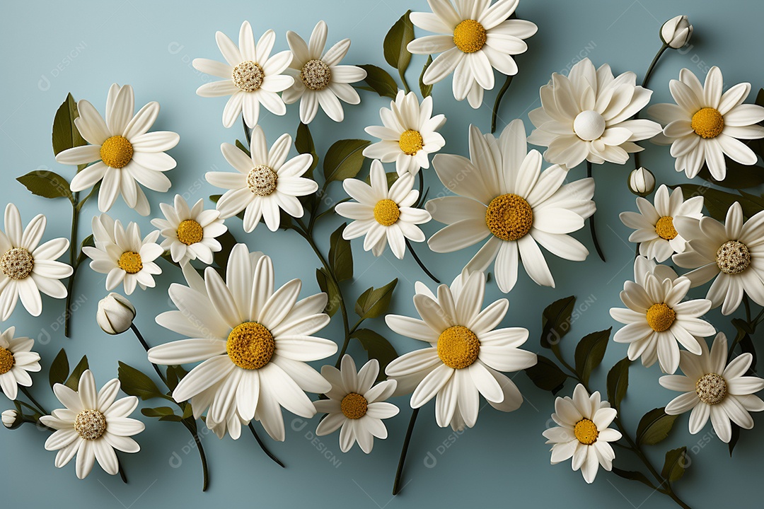 Belos cenários da natureza