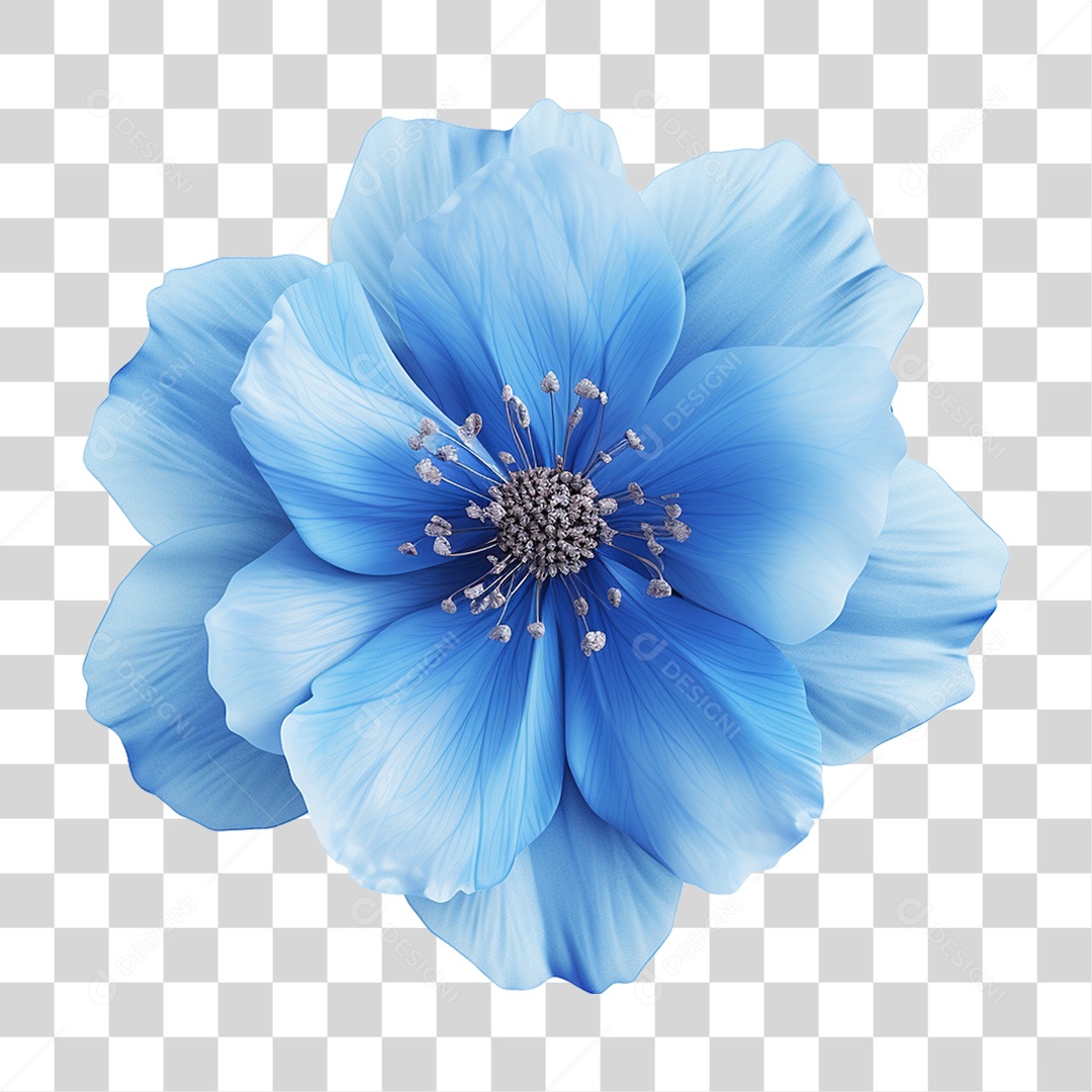 Flores Rosas Plantas PNG Transparente