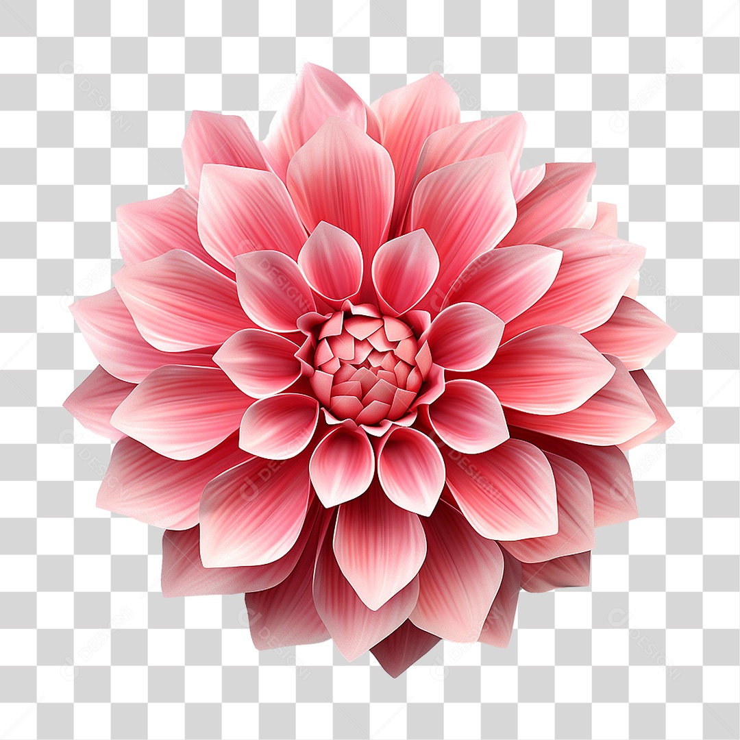 Flores Rosas Plantas PNG Transparente