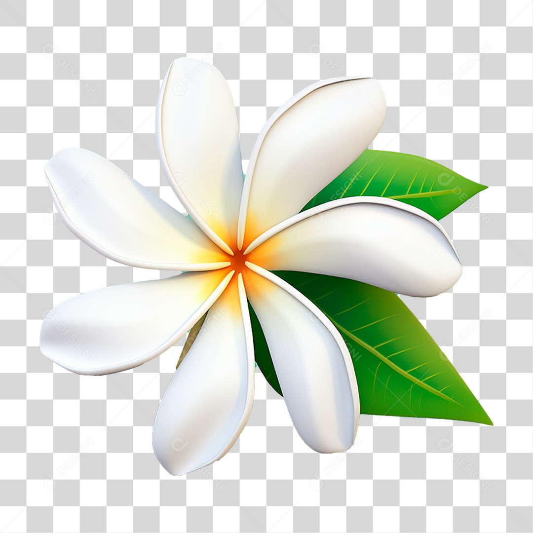 Flor Branca PNG Transparente