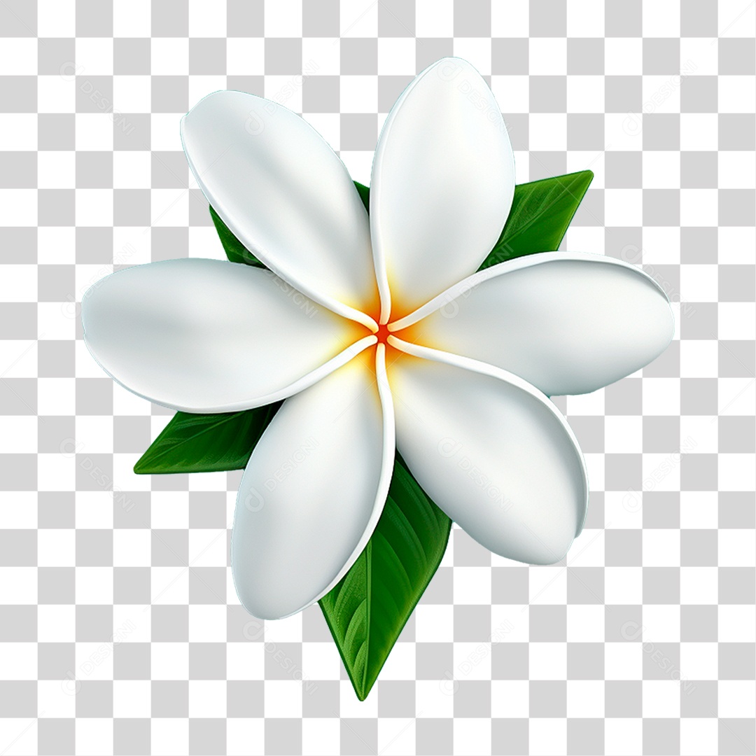 Flor Branca PNG Transparente