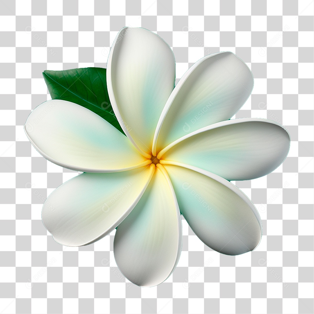 Flor Branca PNG Transparente