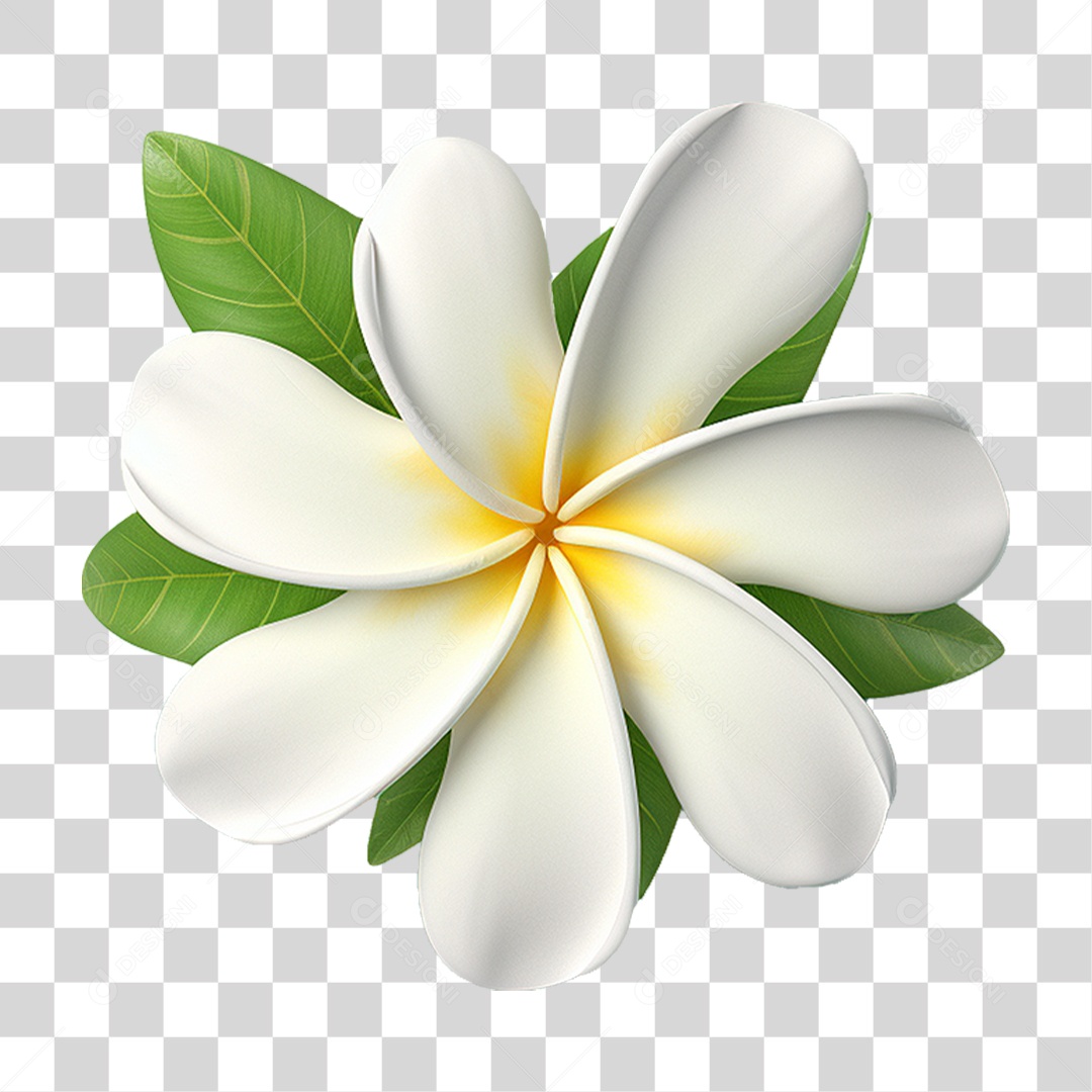 Flor de Pluméria PNG Transparente