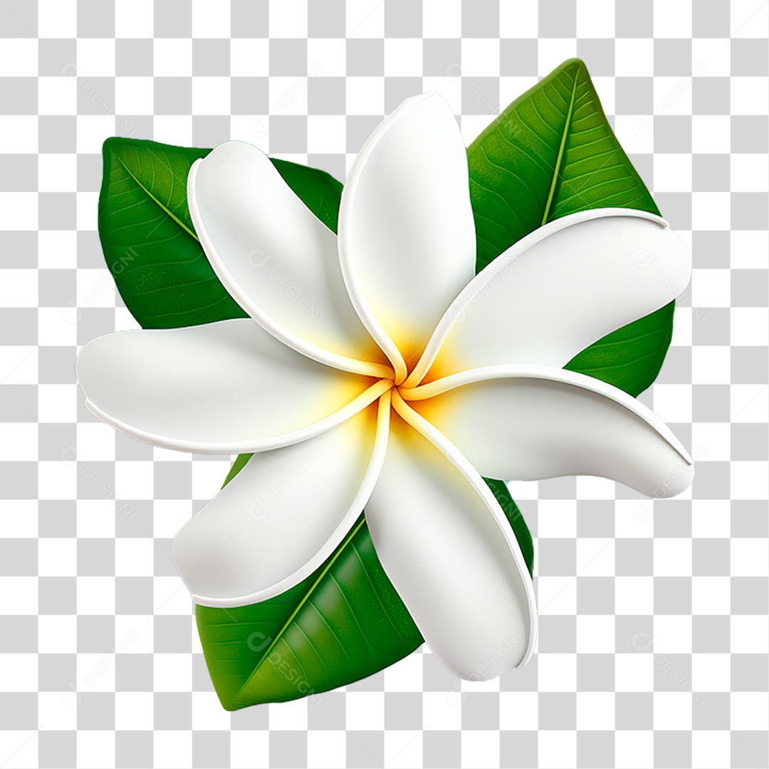 Flor Branca PNG Transparente