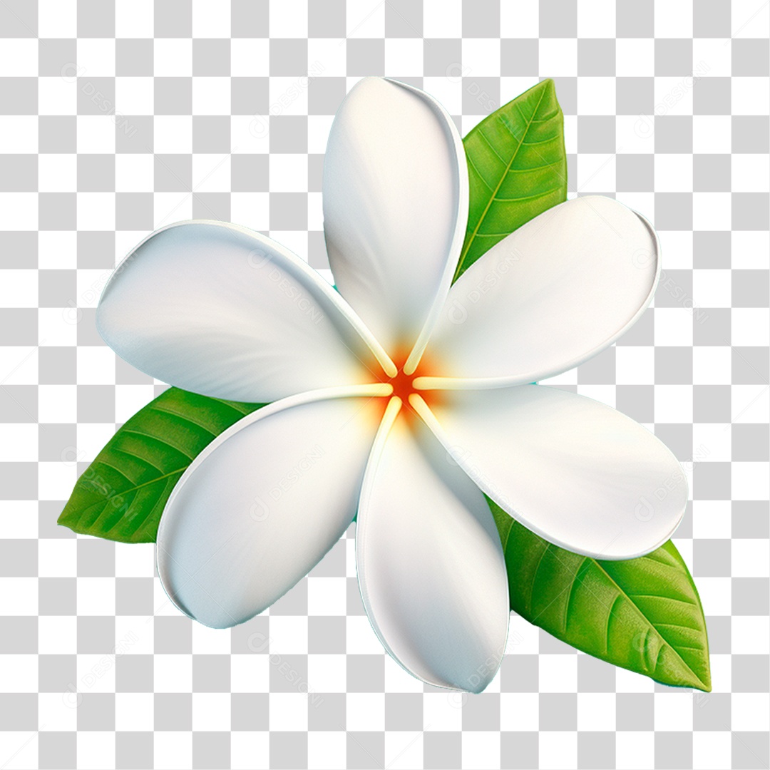 Flor Branca PNG Transparente