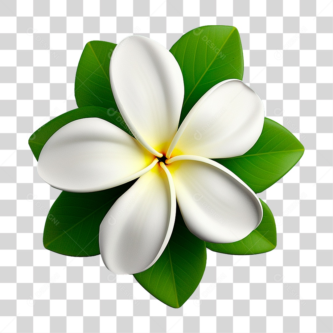 Flor Branca PNG Transparente