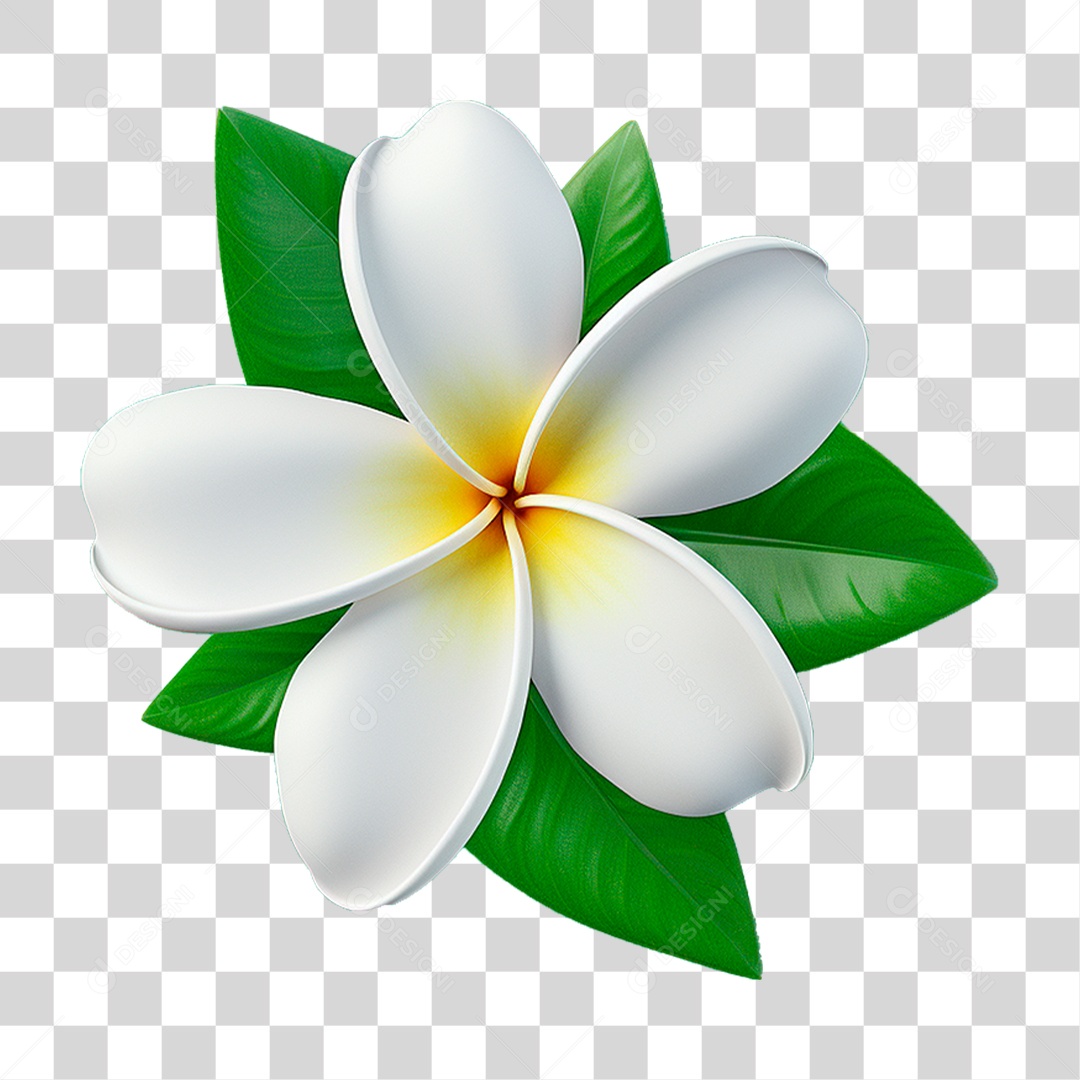 Flor Branca PNG Transparente
