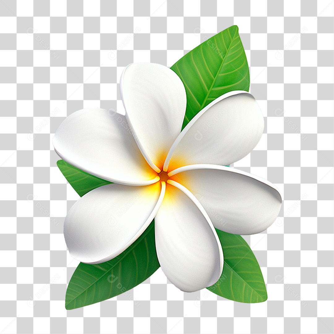 Flor Branca PNG Transparente