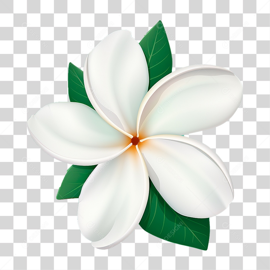 Flor de Jasmim PNG Transparente