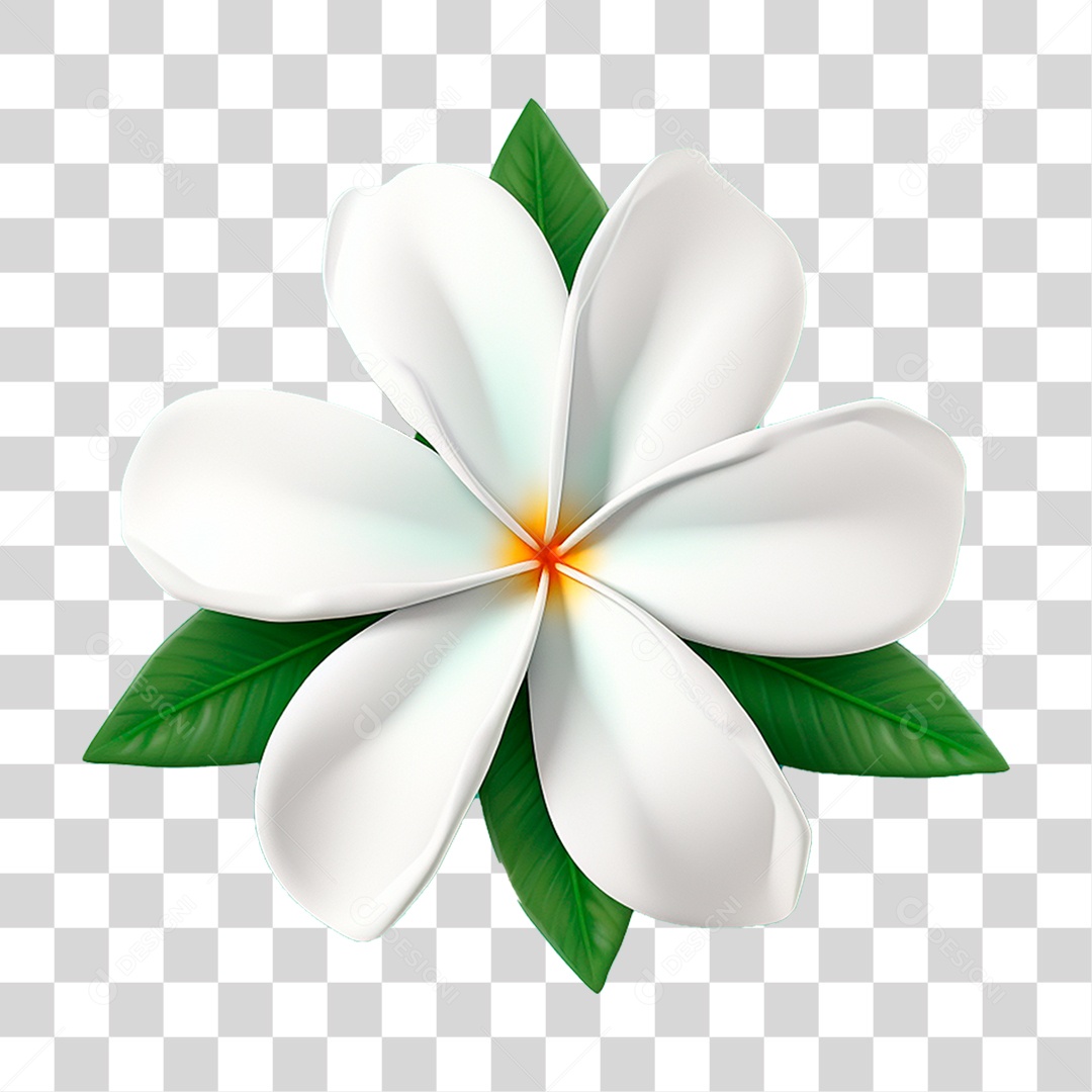 Flor de Jasmim PNG Transparente