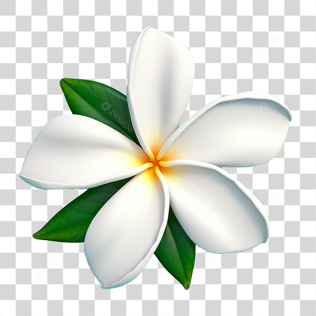 Flor de Jasmim PNG Transparente