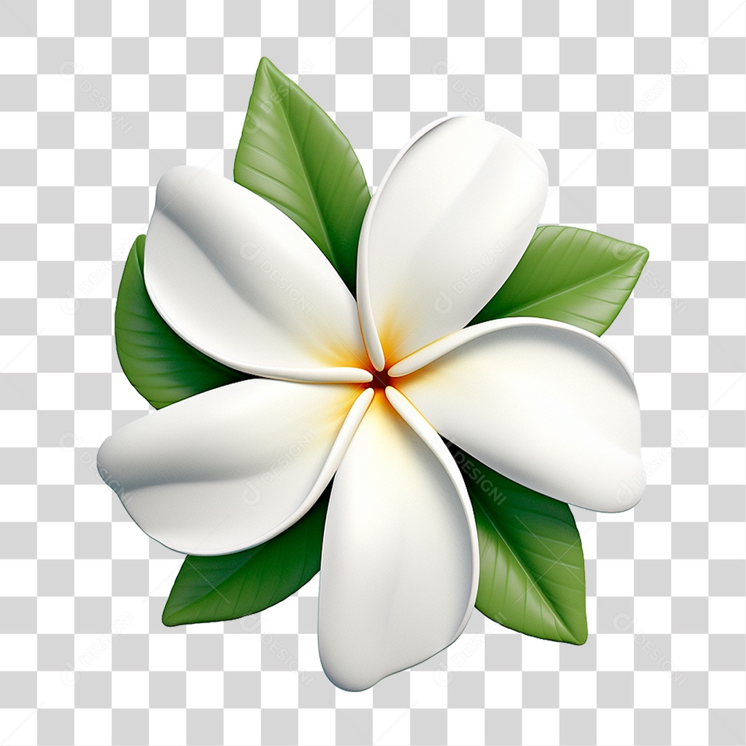Flor de Jasmim PNG Transparente