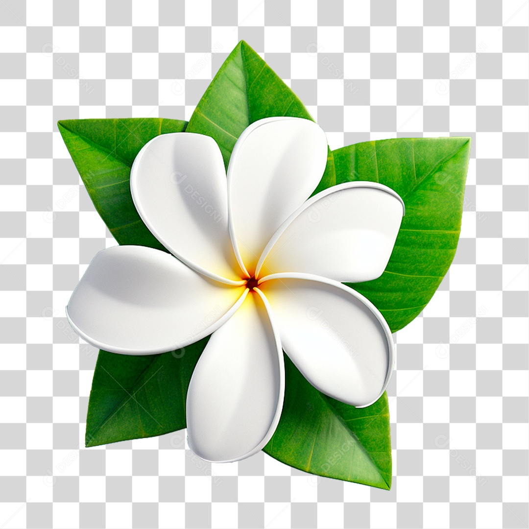 Flor Branca PNG Transparente