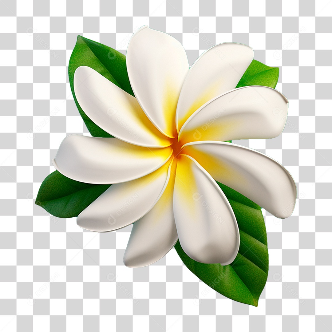 Flor Branca PNG Transparente