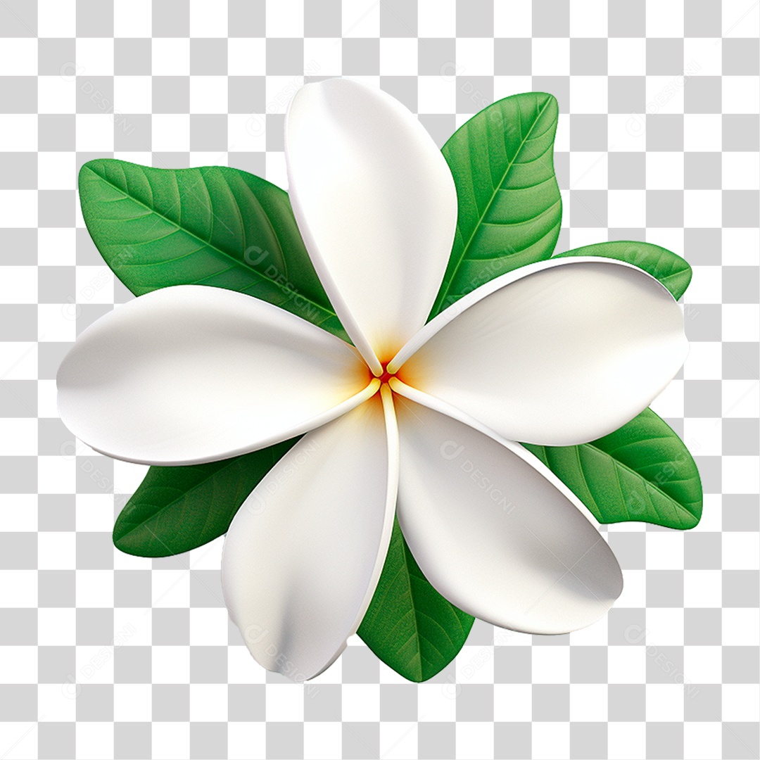 Flor Jasmins PNG Transparente