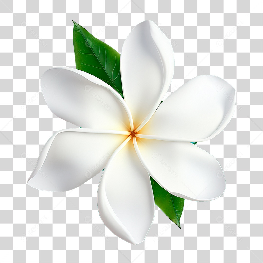Flor Jasmins PNG Transparente