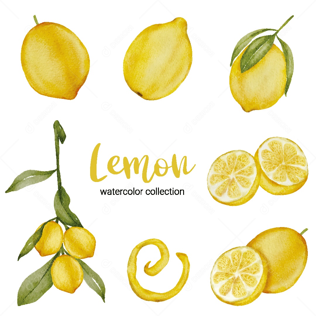 Conjunto de Abacate em Aquarela Vetor EPS