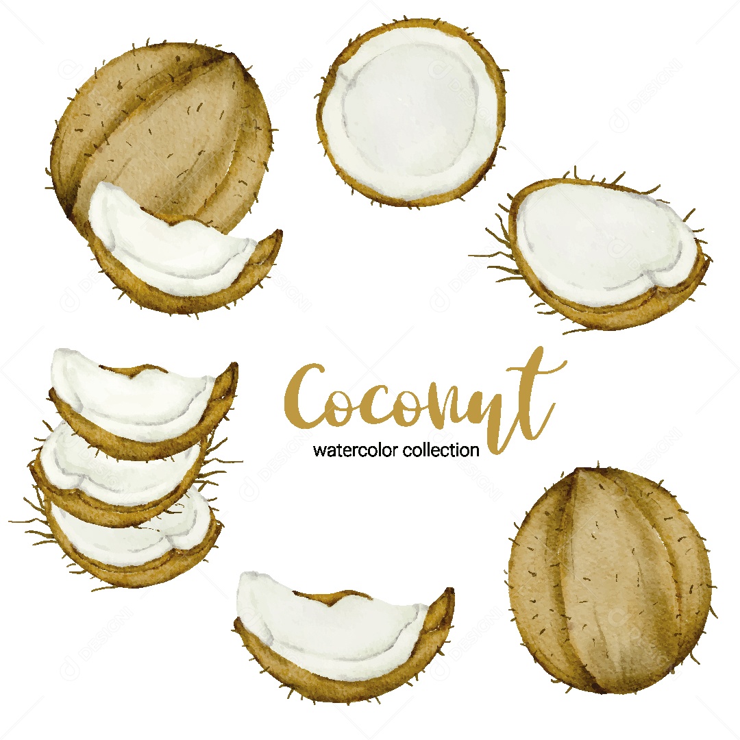 Conjunto de Coco em Aquarela Vetor EPS