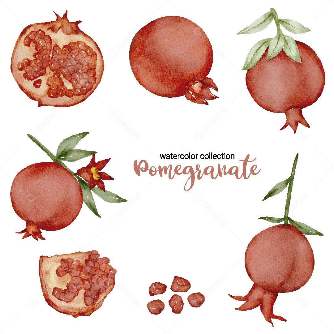 Conjunto de Romã Aquarela Vetor EPS