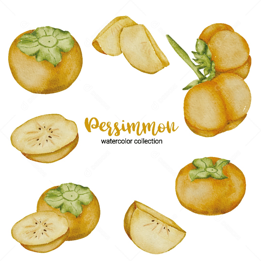 Conjunto de Caqui em Aquarela Vetor EPS