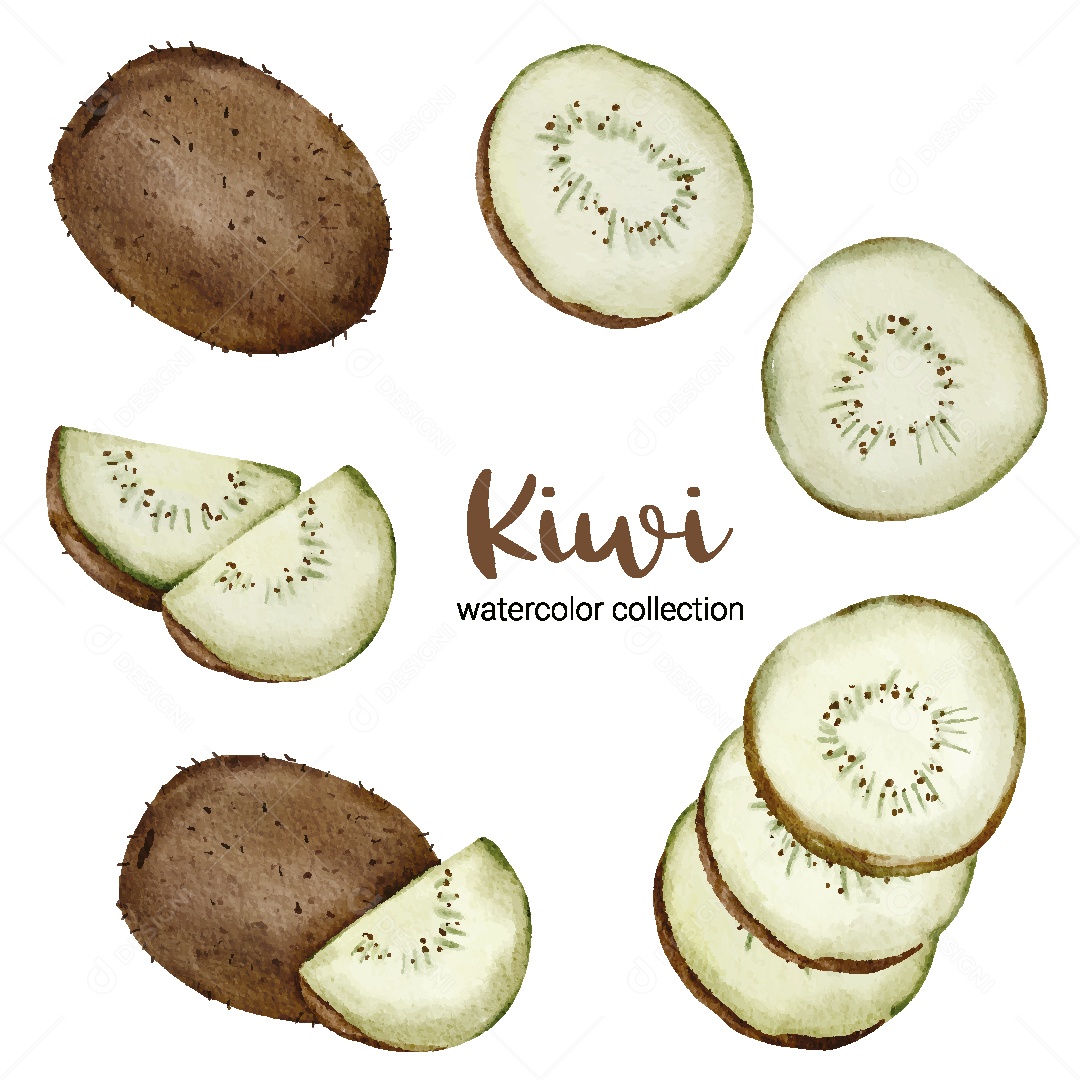 Conjunto de Kiwi em Aquarela Vetor EPS