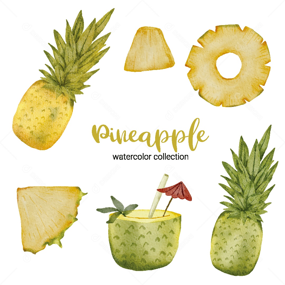 Conjunto de Abacaxi em Aquarela Vetor EPS