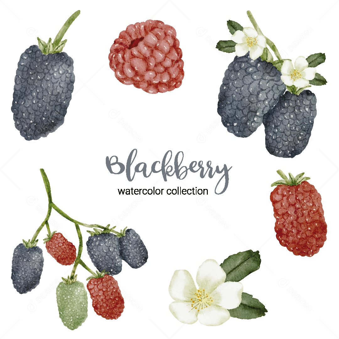 Conjunto de Amora em Aquarela Vetor EPS