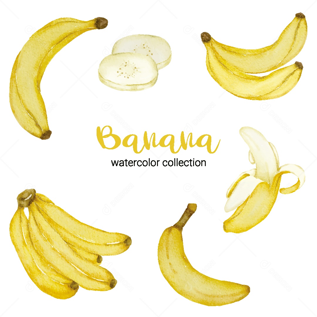 Conjunto de Banana em Aquarela Vetor EPS