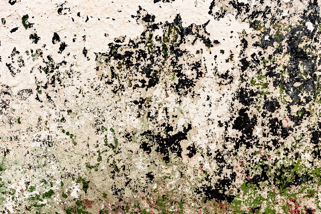 Textura de parede de uma casa