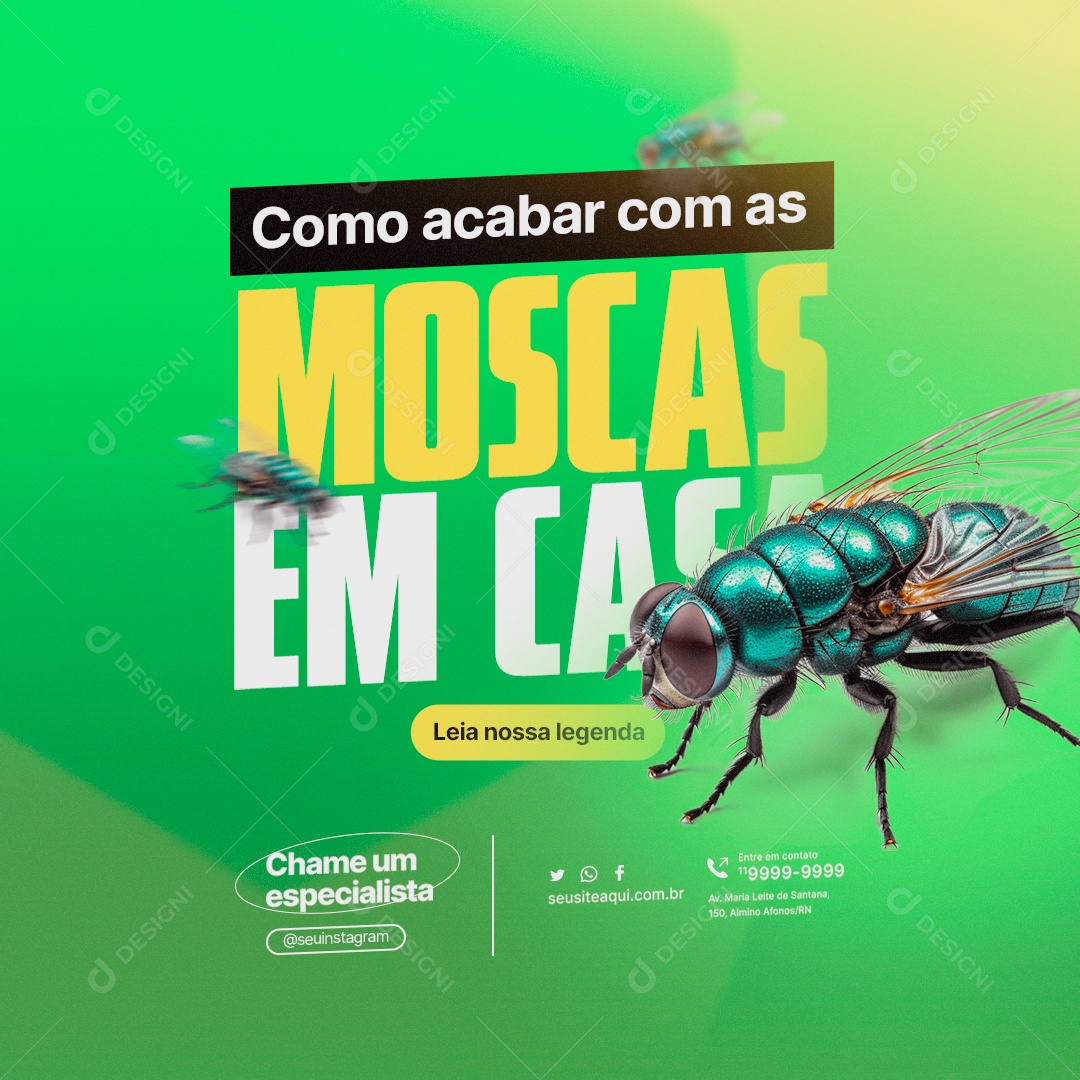 Dedetizadora Como Acabar com as Moscas em Casa Social Media PSD Editável