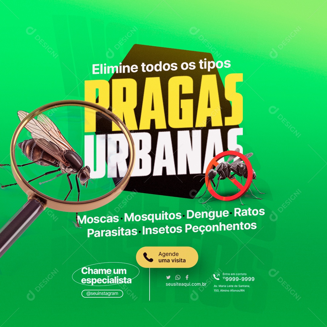 Dedetizadora Elimine Todos os Tipos Pragas Urbanas Moscas Mosquitos Dengue Ratos Social Media PSD Editável