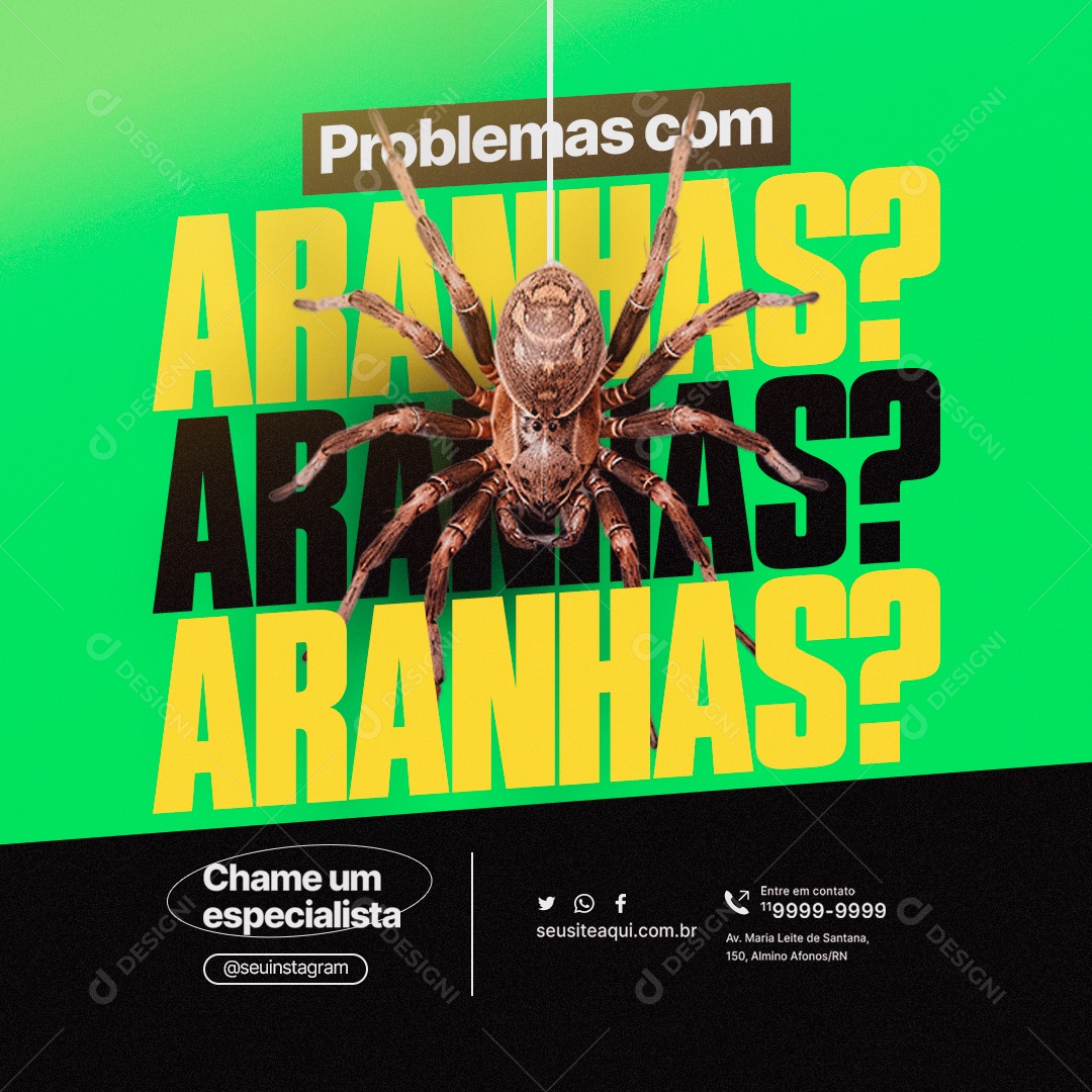 Problemas com Aranhas Chame um Especialista Dedetizadora Social Media PSD Editável