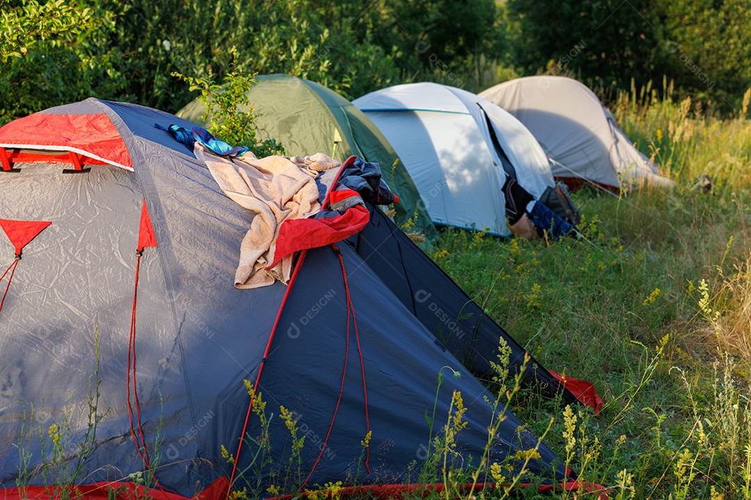 Barracas armadas em uma floresta
