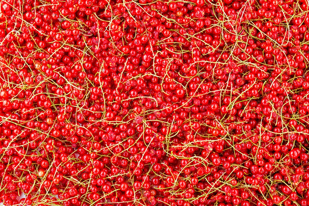 Groselha sobre uma mesa em um fundo isolado