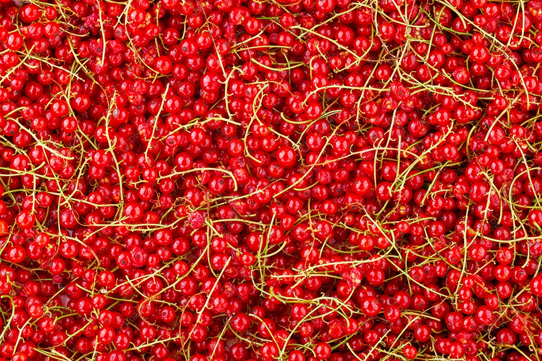 Textura de groselha frescas