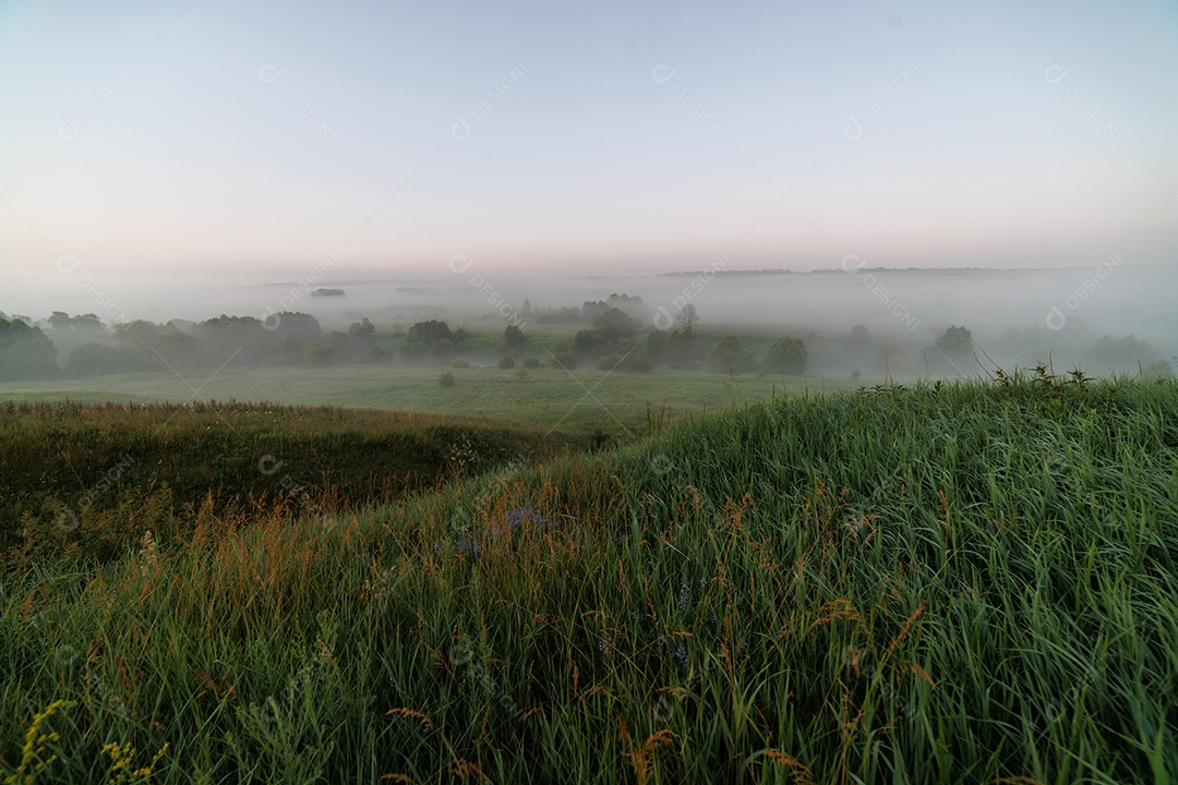 Capim verde em uma linda fazenda