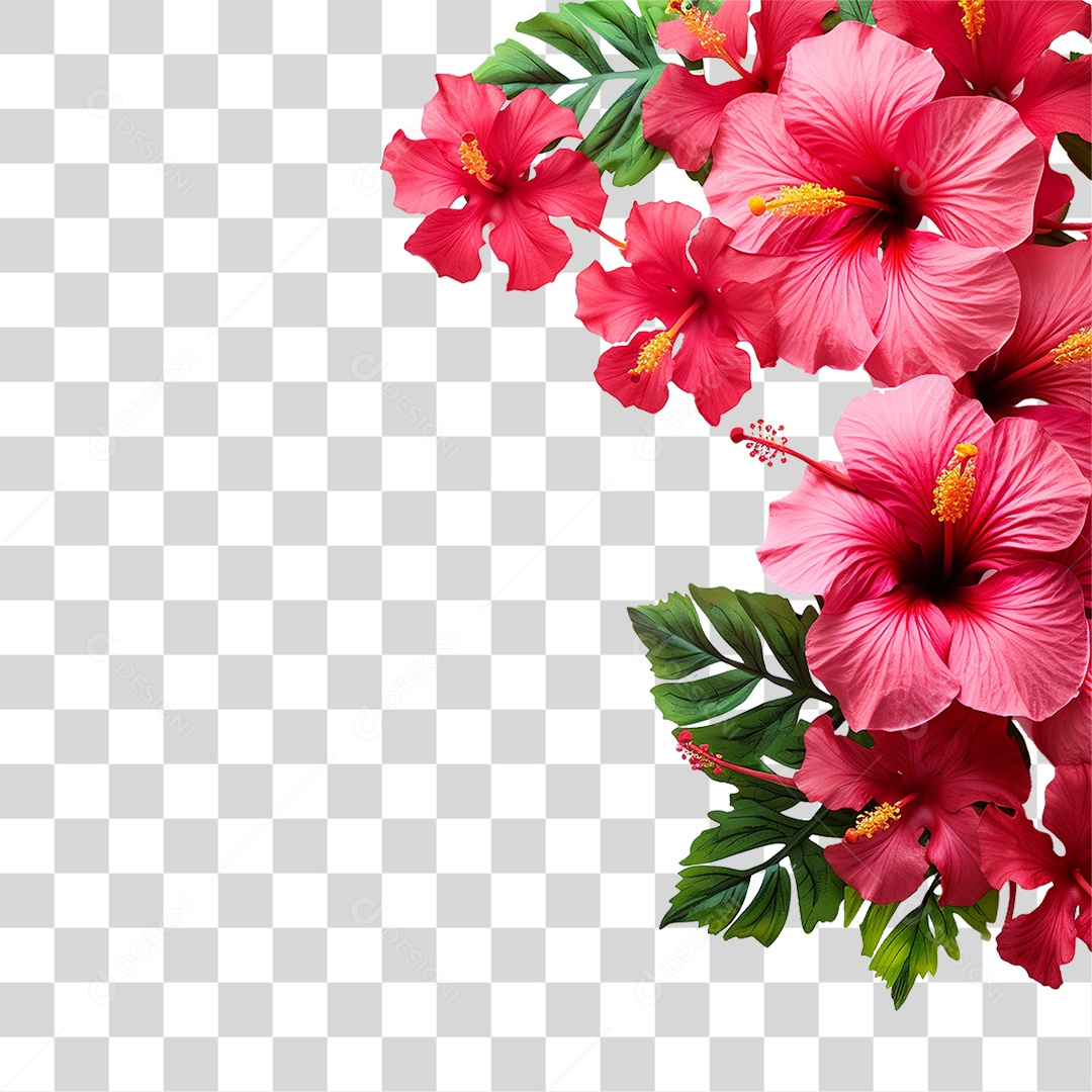 Flores Rosas Plantas PNG Transparente