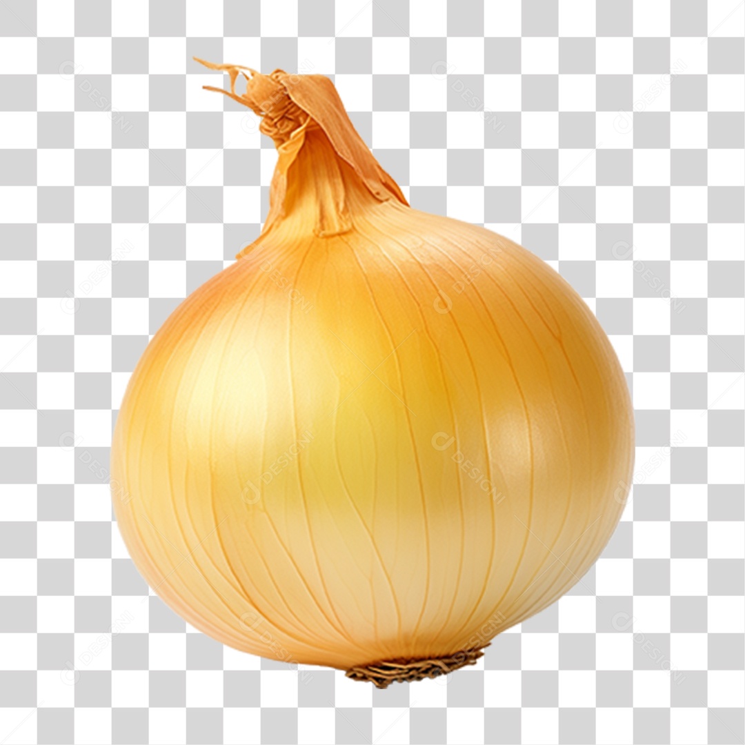 Cebola Legumes Temperos PNG Transparente