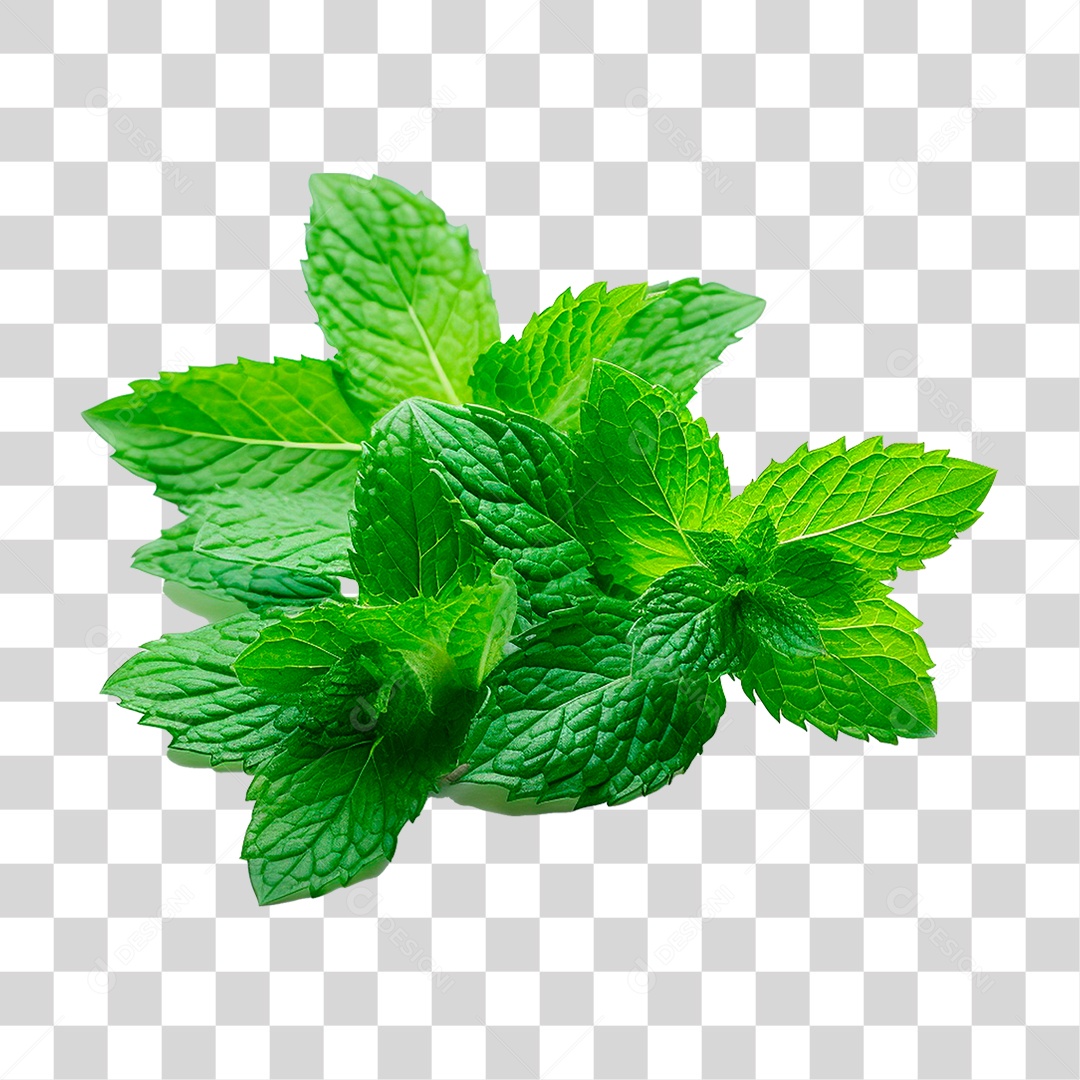 Hortelã PNG Transparente