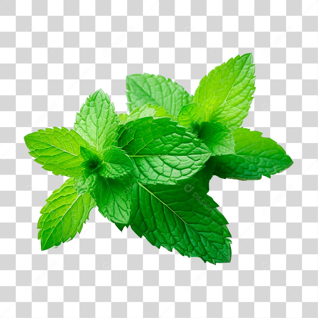 Hortelã PNG Transparente