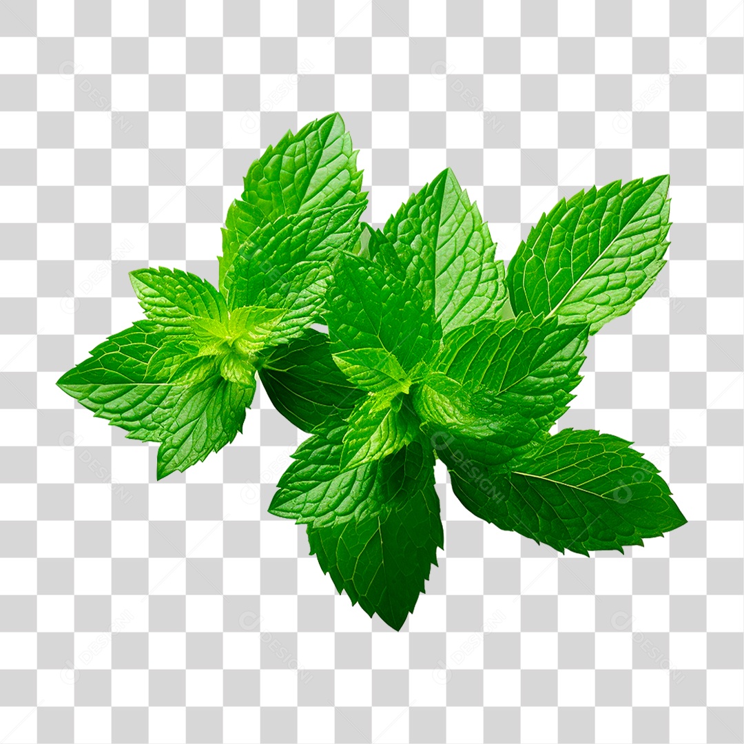 Hortelã PNG Transparente