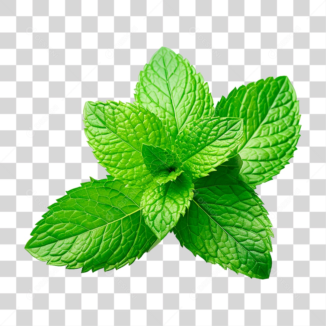 Hortelã PNG Transparente